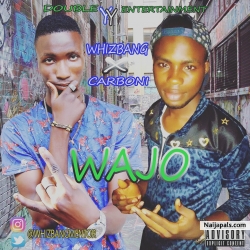 Wajo by Whizbangrapkid ft Carbony, prod. By Mr real