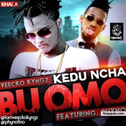 Kedu Ncha Bu Omo ft Phyno by Veecko Kyngz