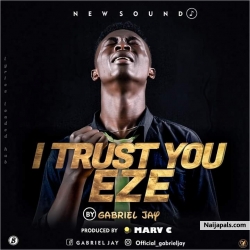 I trust you eze by Gabriel Jay
