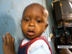 umar okabichi