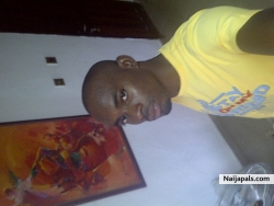 nwankwo ugochukwu (wisemister1)