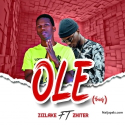 OLE (thief) by Zizlake ft Zhiter