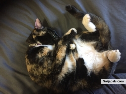 My baby is so relaxed, I love her