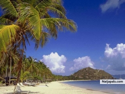 paradise