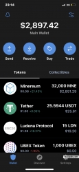Crypto investor