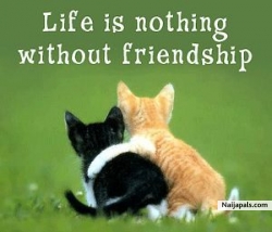 Real friends