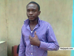 Peter ogwuche (Petexd)