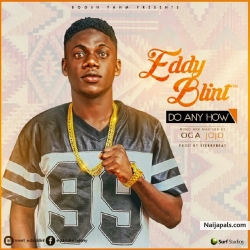 DO ANYHOW by EDDYBLINT