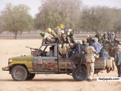 Darfur rebels