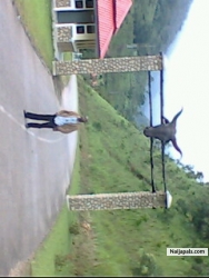 AT OBUDU CATTLE RANCH GATE (Heaven's gate ON EARTH)