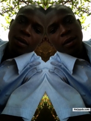 Apeh Emmanuel Ojochenemi (apexema)