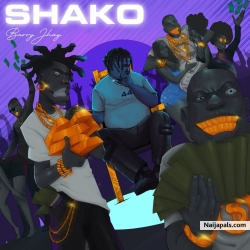 Shako by Barry Jhay 