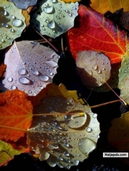 LIFE COULD STILL BE THIS FRESH,EVEN IF YOU ARE DOWN NOW,NEVER MIND,ITS LIFE FOR YOU SO DENT LET IT PULL YOU DOWN