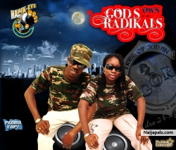 God's Own Radicals