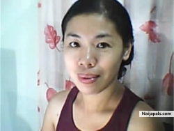 nenet manlino