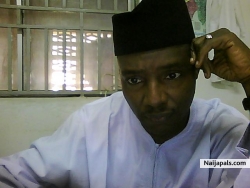 Maina