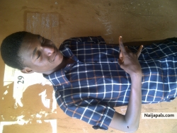 Usman Ibrahim (ibrahimus)