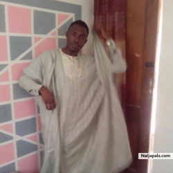 ayo ade