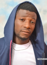 ALART WOLE by SEVEN 7
