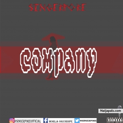 Company by Singerpore