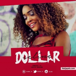 DOLLAR by Seline 