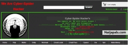 cyberspider (cyberspider)