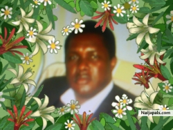 osagie