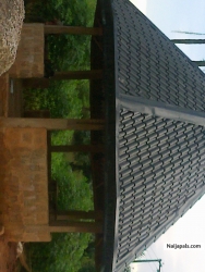 Ojugo
