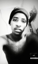 Mr dazzle 