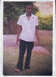 david
