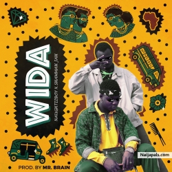 WIDA by Naughtiiboy x Shammah Jah