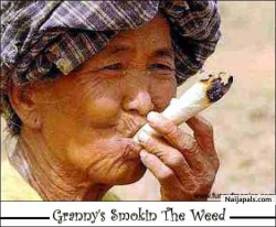 shoko sweet oo
