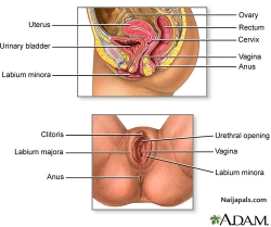 AND OPEN AND READY TO CONCEIVE