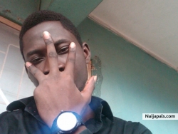 tee don (hoyindamolar)