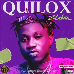 Quilox by Zlatan Ibile