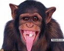 When i was in the zoo