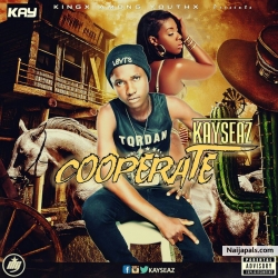 cooperate by kayseaz 