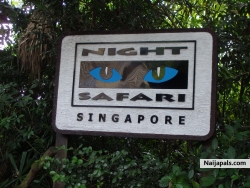 Singapore Night Safari