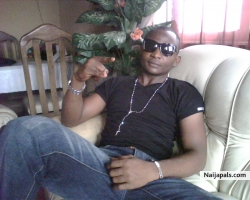 stil finest