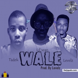 Wale (prod. Levels) by C vybez x Tadek ft Levels