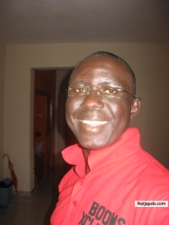 stevie ayua