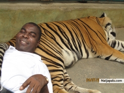 The tiger and me...
