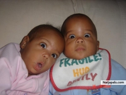 THE TWINS