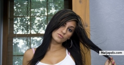 Lovia Wood (lovia999)