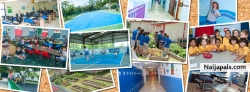 The Palmas Academy (theacademy)