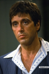 Antonio Montana (toni66)