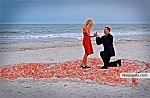 hot love