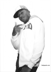 Niletrix