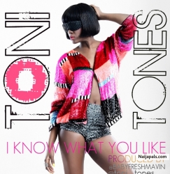 i Know You Like It Remix by Toni Tones ft. Vector, ELDee & Ajebutter