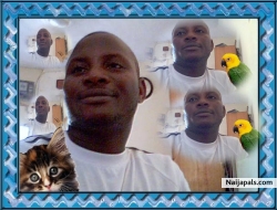 sheikh adama armah (mysheikh19)